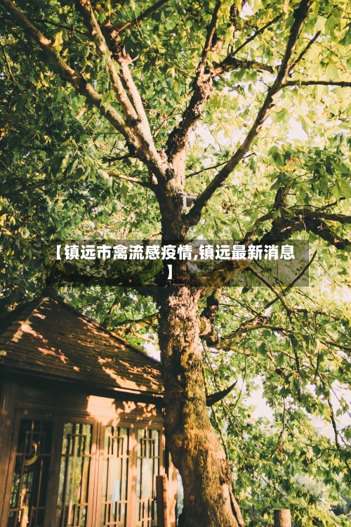 【镇远市禽流感疫情,镇远最新消息】-第2张图片