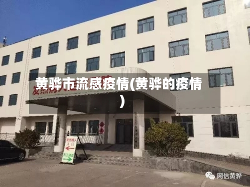 黄骅市流感疫情(黄骅的疫情)-第2张图片