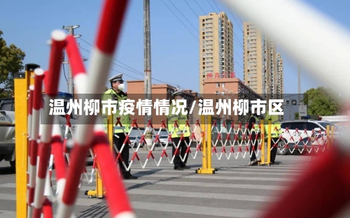 温州柳市疫情情况/温州柳市区