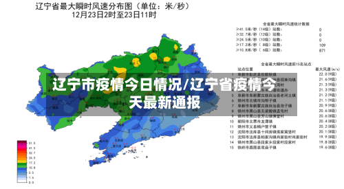 辽宁市疫情今日情况/辽宁省疫情今天最新通报-第3张图片