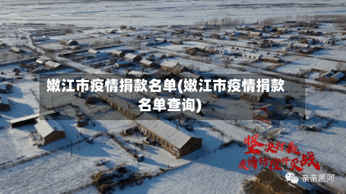 嫩江市疫情捐款名单(嫩江市疫情捐款名单查询)-第2张图片