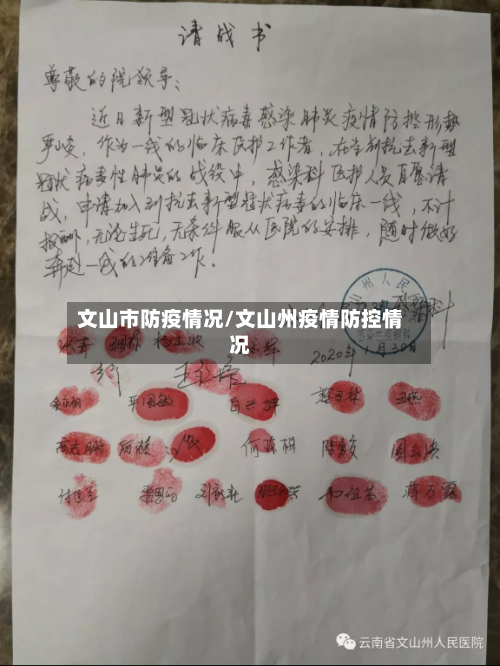 文山市防疫情况/文山州疫情防控情况
