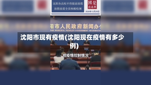 沈阳市现有疫情(沈阳现在疫情有多少例)