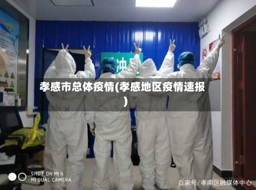 孝感市总体疫情(孝感地区疫情速报)-第2张图片