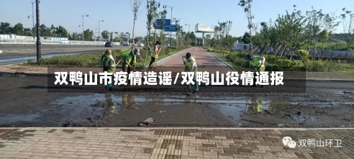 双鸭山市疫情造谣/双鸭山役情通报