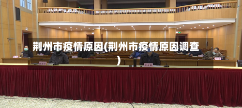荆州市疫情原因(荆州市疫情原因调查)