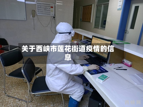 关于西峡市莲花街道疫情的信息-第2张图片