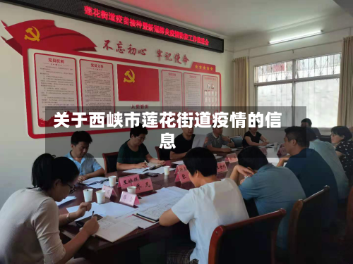 关于西峡市莲花街道疫情的信息