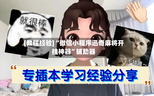 [教程经验]“微信小程序迅奇麻将开挂神器”辅助器-第2张图片