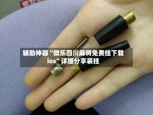 辅助神器“微乐四川麻将免费挂下载ios”详细分享装挂-第2张图片