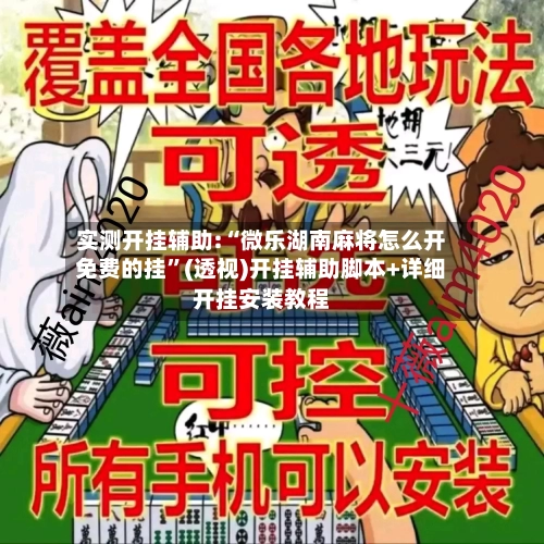 实测开挂辅助:“微乐湖南麻将怎么开免费的挂”(透视)开挂辅助脚本+详细开挂安装教程-第2张图片