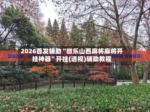 2026首发辅助“微乐山西麻将麻将开挂神器”开挂(透视)辅助教程-第2张图片