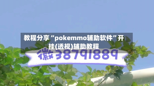 教程分享“pokemmo辅助软件”开挂(透视)辅助教程-第2张图片