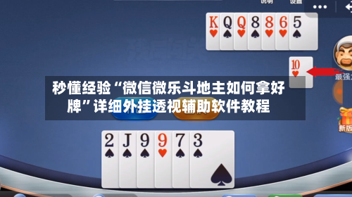秒懂经验“微信微乐斗地主如何拿好牌	”详细外挂透视辅助软件教程-第2张图片