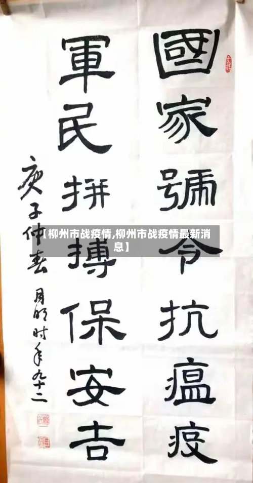 【柳州市战疫情,柳州市战疫情最新消息】