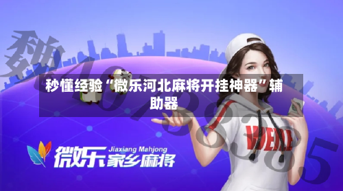 秒懂经验“微乐河北麻将开挂神器”辅助器-第2张图片