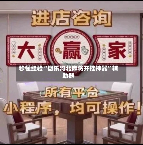 秒懂经验“微乐河北麻将开挂神器”辅助器-第3张图片