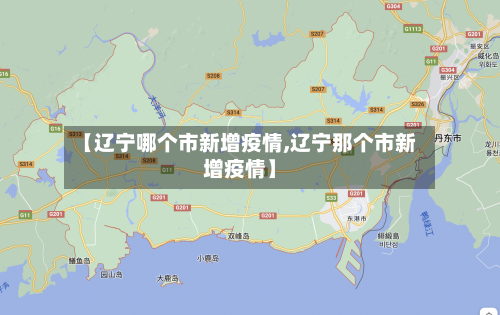 【辽宁哪个市新增疫情,辽宁那个市新增疫情】