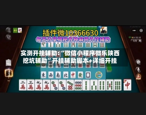 实测开挂辅助:“微信小程序微乐陕西挖坑辅助”开挂辅助脚本+详细开挂-第2张图片