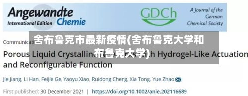 舍布鲁克市最新疫情(舍布鲁克大学和布鲁克大学)-第2张图片