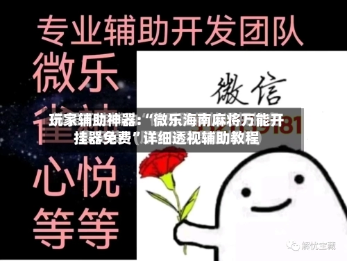 玩家辅助神器:“微乐海南麻将万能开挂器免费	”详细透视辅助教程-第2张图片