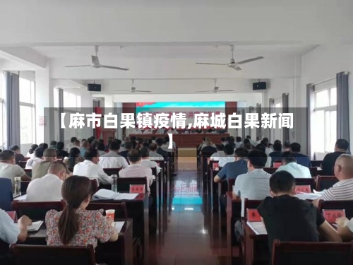 【麻市白果镇疫情,麻城白果新闻】-第2张图片