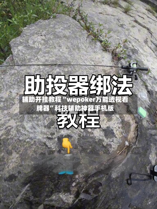 辅助开挂教程“wepoker万能透视看牌器”科技辅助神器手机版
