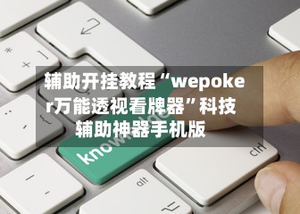 辅助开挂教程“wepoker万能透视看牌器”科技辅助神器手机版-第2张图片