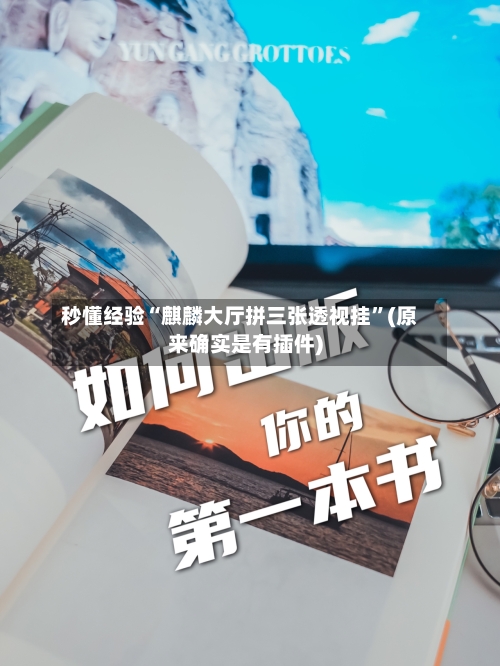 秒懂经验“麒麟大厅拼三张透视挂”(原来确实是有插件)-第2张图片