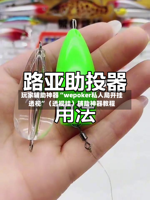 玩家辅助神器“wepoker私人局开挂透视”（透视挂）辅助神器教程-第2张图片
