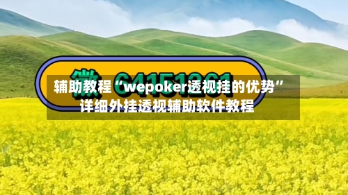 辅助教程“wepoker透视挂的优势	”详细外挂透视辅助软件教程-第2张图片