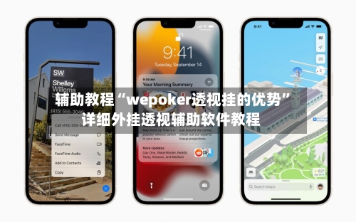 辅助教程“wepoker透视挂的优势”详细外挂透视辅助软件教程-第3张图片