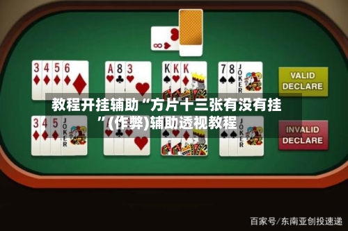 教程开挂辅助“方片十三张有没有挂”(作弊)辅助透视教程-第3张图片