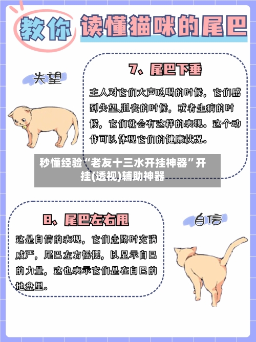 秒懂经验“老友十三水开挂神器”开挂(透视)辅助神器