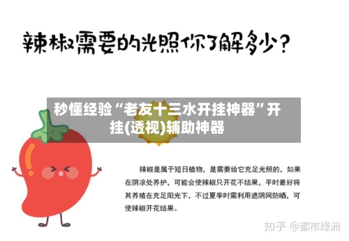 秒懂经验“老友十三水开挂神器	”开挂(透视)辅助神器-第2张图片