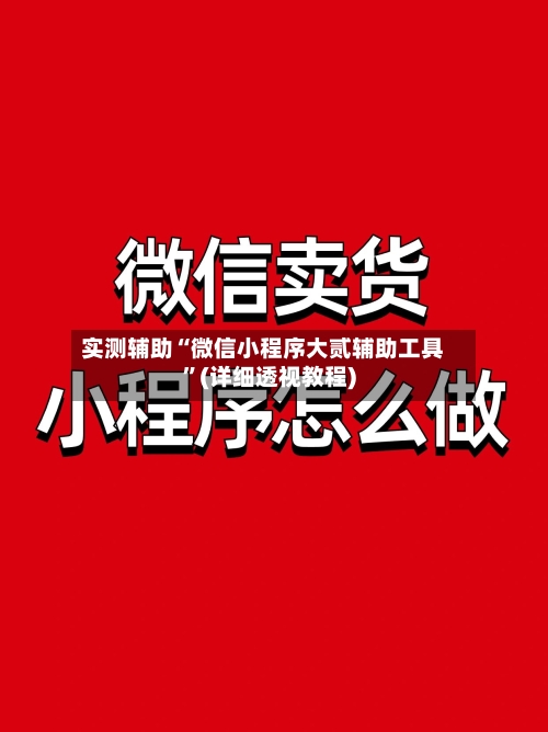 实测辅助“微信小程序大贰辅助工具”(详细透视教程)-第2张图片