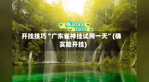 开挂技巧“广东雀神挂试用一天	”(确实能开挂)-第2张图片