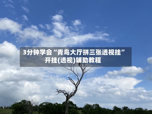 3分钟学会“青鸟大厅拼三张透视挂	”开挂(透视)辅助教程-第2张图片