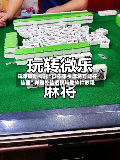 玩家辅助神器“微乐家乡麻将万能开挂器”详细外挂透视辅助软件教程-第3张图片