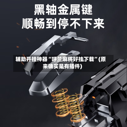 辅助开挂神器“呼兰麻将好挂下载”(原来确实是有插件)-第3张图片