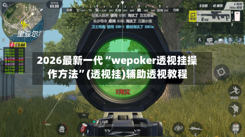 2026最新一代“wepoker透视挂操作方法”(透视挂)辅助透视教程-第3张图片
