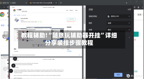 教程辅助!“随意玩辅助器开挂”详细分享装挂步骤教程-第3张图片
