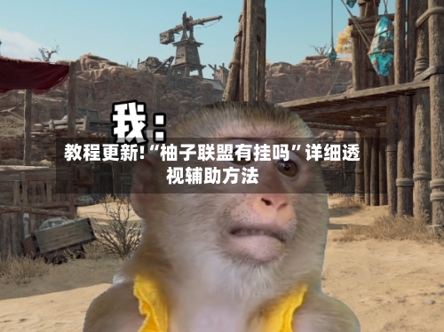 教程更新!“柚子联盟有挂吗”详细透视辅助方法