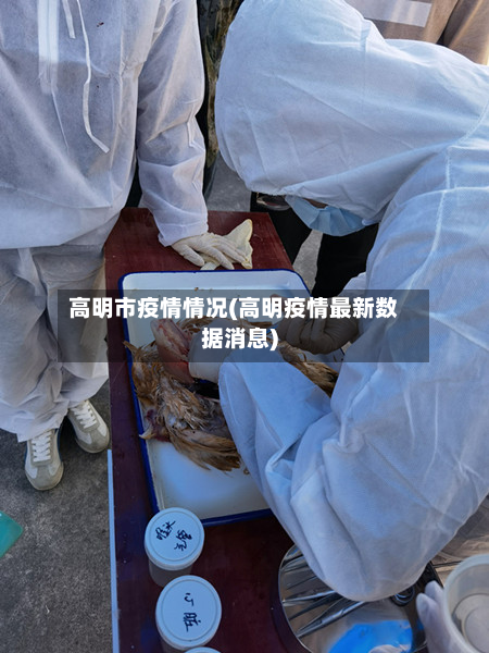 高明市疫情情况(高明疫情最新数据消息)