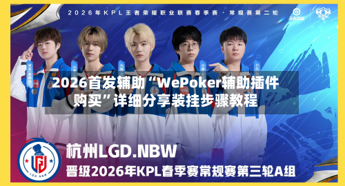 2026首发辅助“WePoker辅助插件购买	”详细分享装挂步骤教程-第2张图片