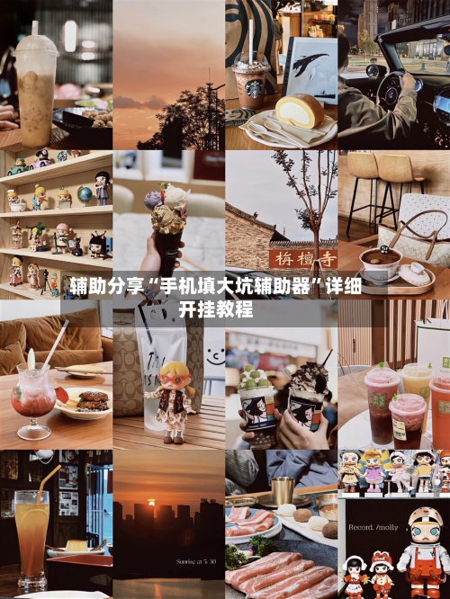 辅助分享“手机填大坑辅助器”详细开挂教程-第3张图片