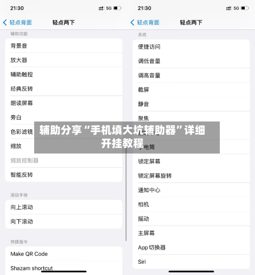辅助分享“手机填大坑辅助器	”详细开挂教程-第2张图片