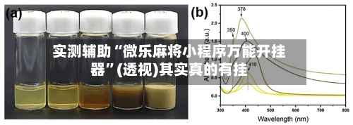 实测辅助“微乐麻将小程序万能开挂器	”(透视)其实真的有挂-第2张图片