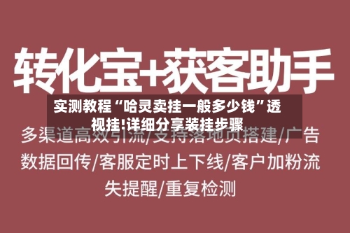 实测教程“哈灵卖挂一般多少钱”透视挂!详细分享装挂步骤-第3张图片
