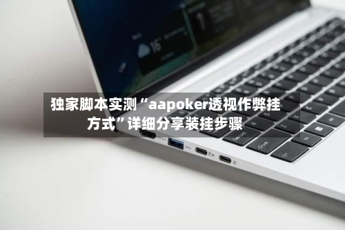 独家脚本实测“aapoker透视作弊挂方式	”详细分享装挂步骤-第2张图片